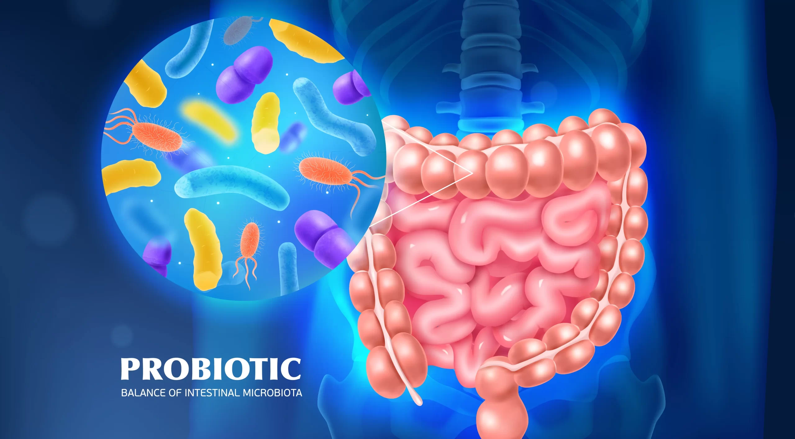 Due to the demonstrated potential of probiotics to increase the nutritional value, future research should focus on evaluating the optimization and scale-up of processes for dairy food fortification