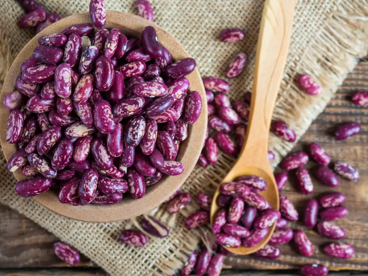 Exploring the nutritional enhancement through ayocote bean flour in breadmaking