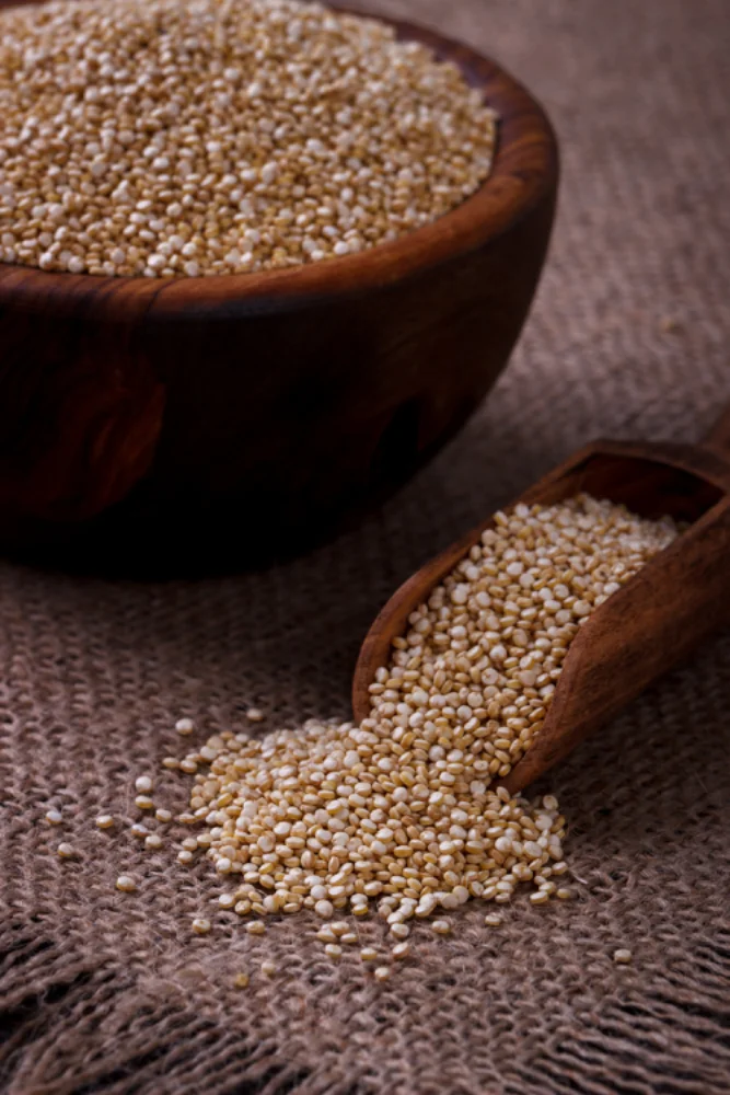 Quinoa2-the-ancient-grain-and-its-role-in-chronic-disease-management